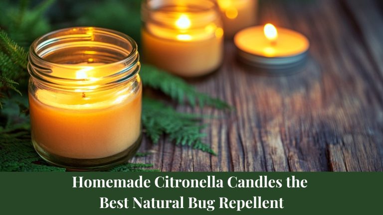 Homemade Citronella Candles: Best Natural Bug Repellent