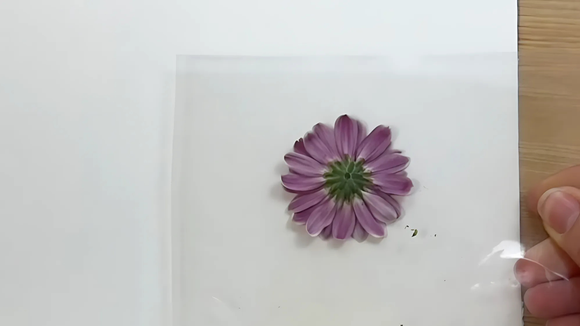 Position and Secure the Flower