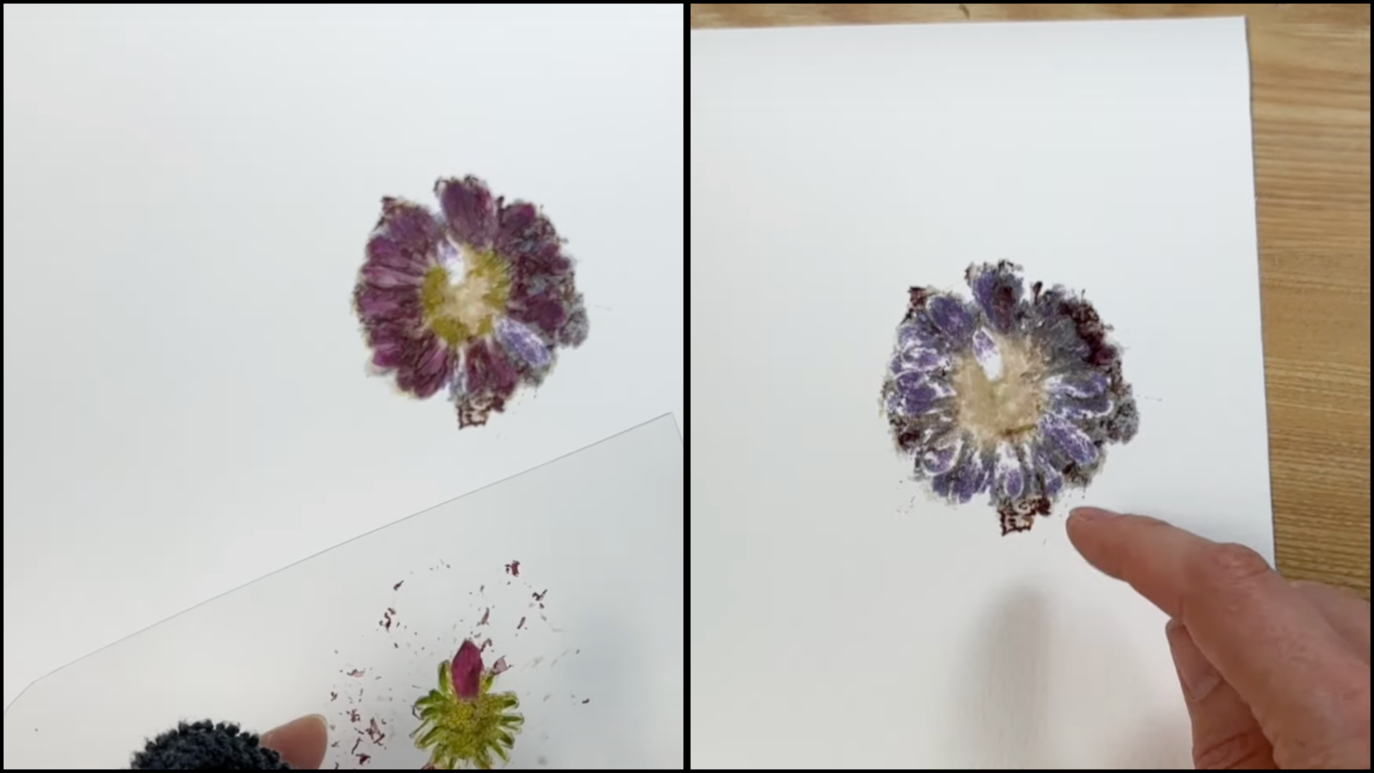 Remove and Clean the Flower Remnants