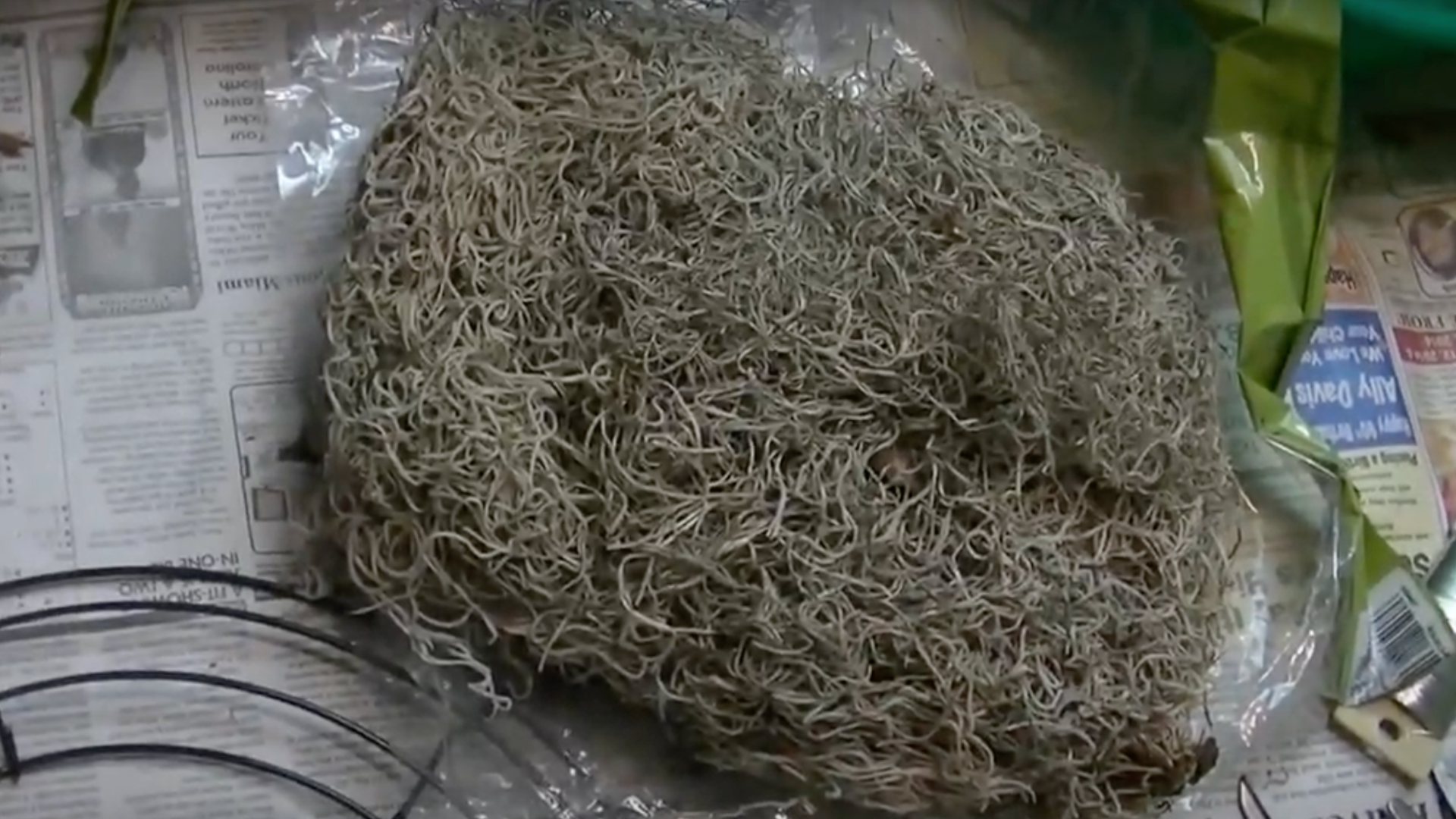 Step 3: Cover the Frame with Spanish Moss