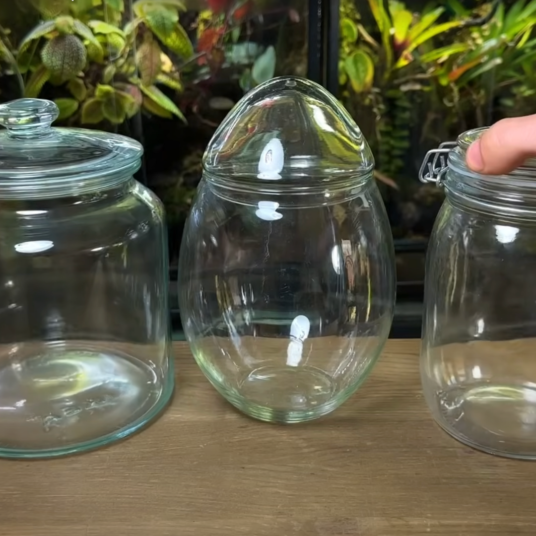 Step_1_Choose_the_Right_Container