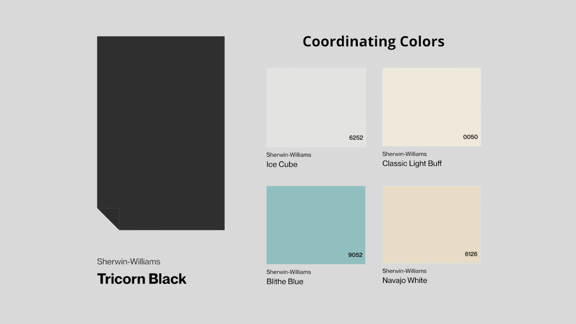 Tricorn_Blacks_Best_Matches_Colors_That_Make_It_Pop